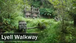 Lyell Walkway, New Zealand | 4K