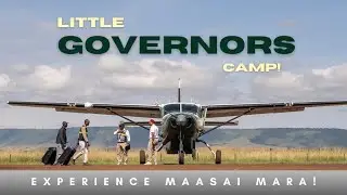 WHY choose GOVERNOR'S CAMP as Your Next Luxury Safari Camp!