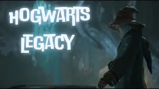 HOGWARTS LEGACY | Впервые прохожу Хогвартс Легаси за члена семьи Блэков