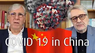 International - COVID19 in China , Robert Fitzthum & Fritz Edlinger [45]