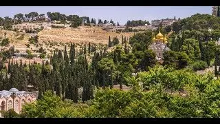 El Monte de los Olivos en Jerusalén - El Lugar donde Jesús fue recibido con Ramos