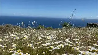 Grikos II residences - Kea island Greece