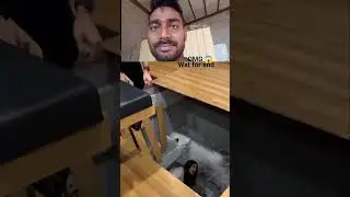 Dro mt baby mai hu naa[Ai vlogs, ai content, trending😱😱 viral #shorts #taranding #viral #funnyvideo