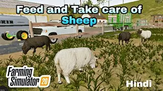 #6 How to feed and take care of Sheep in Farming Simulator 20 | Hindi | Be Perfect Channel