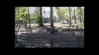 Ган Гуру