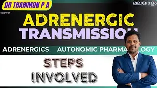 Adrenergic Transmission Synthesis Storage Release Metabolism Catecholamines Pharmacology Malayalam