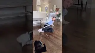 Fast & Easy Home Cleaning for Daily Life || #comady #funny #comadin