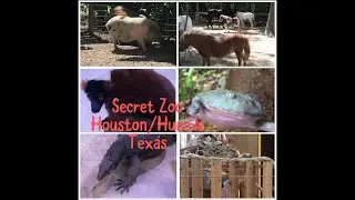 Secret Zoo in Houston, Texas - Activities for kids - Houston Interactive Aquarium & Animal Preserve