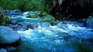 Soothing Flowing River Sleep Track for Relaxation, Stress Relief & Peaceful Sleep