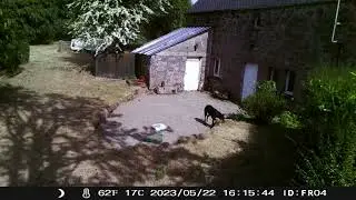Pictures & Videos APEMAN H45 Trail Camera 2 of 11  C&ocirc;tes d'Armor,  Brittany, France FR04
