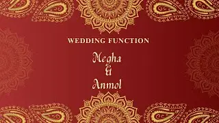ll Live ll Wedding Ceremony *** Megha & Anmol ***