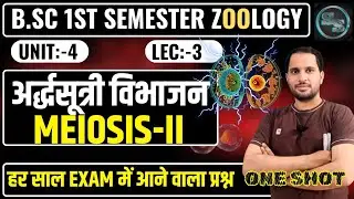 Meiosis Cell Division | Meiosis Bsc 1st Year | Meiosis 2 cell Division | Meiosis Bsc 1st Sem