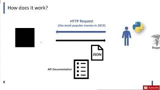 What is an API The Movie Database API Python Data Science Project || #anaconda #jupyterlab #python