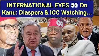 BREAKING 🔥 INTERNATIONAL EYES 👀 On Kanu: Diaspora & ICC Watching...