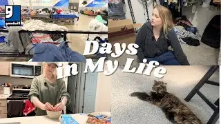 Days in my life: being intentional at the goodwill bins, healthy changes, & downsizing again!
