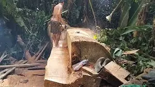 Stihl 070 vs plepek senior ,🤣🤣