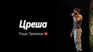 Цреша — Тоше Проески (инструменталка / караоке)