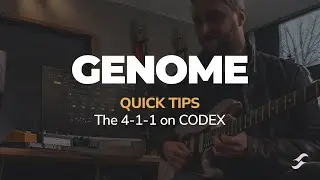 Краткие советы по ГЕНОМУ | 4-1-1 по CODEX