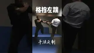 Self-defense series: block left kick #Shorts#monk#bruce#jackie#yipman#mma#ufc