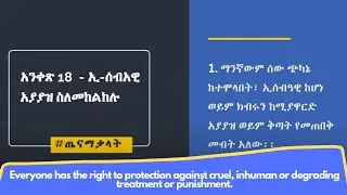 Federal Democratic Republic of Ethiopia (FDRE) Constitution