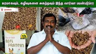 Organic Farming க்கு Best Friend – லார்வா! #agriculture | vivasaya arvalargal