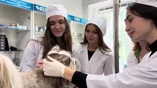 Найкращий факультет ветеринарної медицини України запрошує на навчання!!!