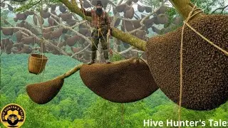 2026 Forest Honey Harvest &mdash; Carrying an Enormous Gourd at Deadly Heights