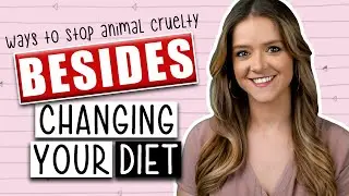 STOP ANIMAL CRUELTY 7 Ways Besides Changing Your Diet