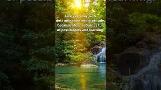 Courage and Determination #courage #determination