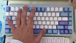 키보드 정모