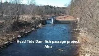 50 cent tour of the Sheepscot River