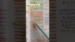 human reproduction#pyq2022 #neet #jkbopee #ncert #viral 🔥