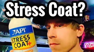 API Stress Coat Review - Stressed Fish? Aloe Vera?