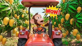 Zuzi Monkey was driving a tractor to harvest mangoes when a storm hit