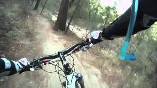 Bug Springs Mountain Biking
