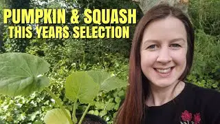 Pumpkin & Squash | This Years Allotment Garden Selection 2020