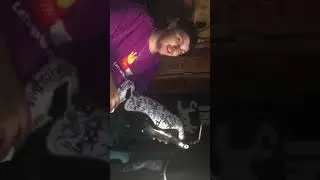Smoking a penguin