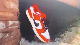 these have people SPLIT | Nike Dunk Low Chicago Split Showcase