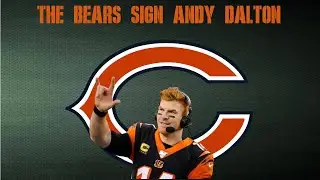 THE BEARS SIGN ANDY DALTON