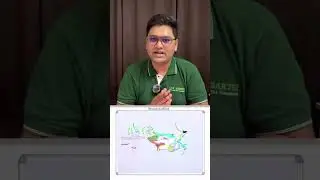 Old Regime explained in short!