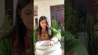 Want to learn DIY Composting at home ? Watch This 💚 #composting #composting101 #garden