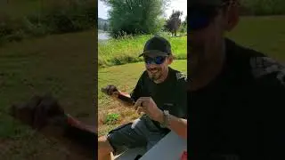 Wild Corn dog