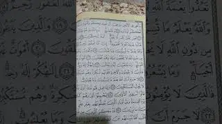 أسهل وأسرع تربيط النحل صفحة 269