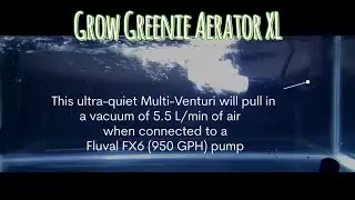 The Grow Greenie Aerator XL Venturi valve #rioxingu #growgreenie #zebrapleco