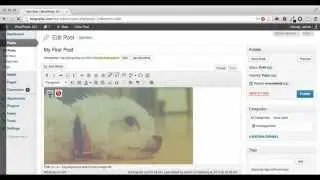 adding images