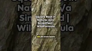 Square Root in Nature: a&radic;a Simplified | WildFormula