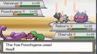 Pokemon Reborn - Pokemon Reborn Epiosde 7:Team meteor Battles