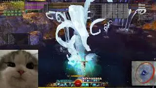 Nikare HB Tank pov GW2