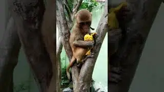 so cute.... my rencho
