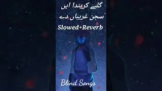 Gillay Karenda Aey | Haider Mansoor Malangi | Latest Saraiki Song 2023 | Eid Gift | (slowed+Reverb)